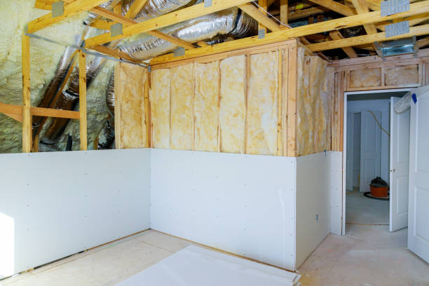 Best Insulation for Specific Applications in Lesslie, SC