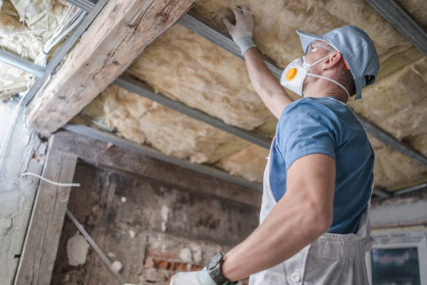 Best Types of Insulation in Lesslie, SC