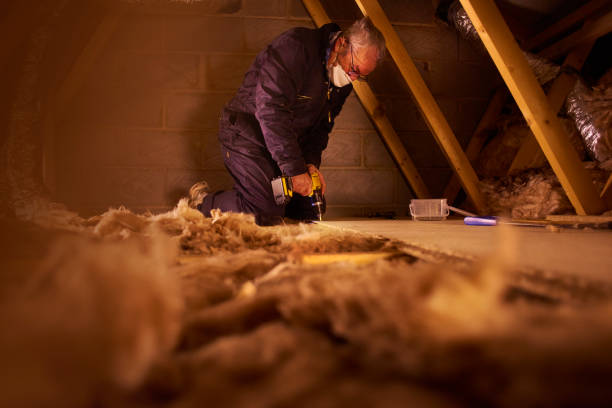 Best Insulation Installation Services in Lesslie, SC
